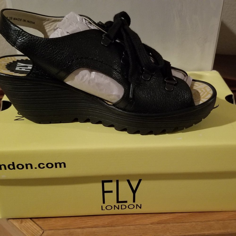 Fly Wedge